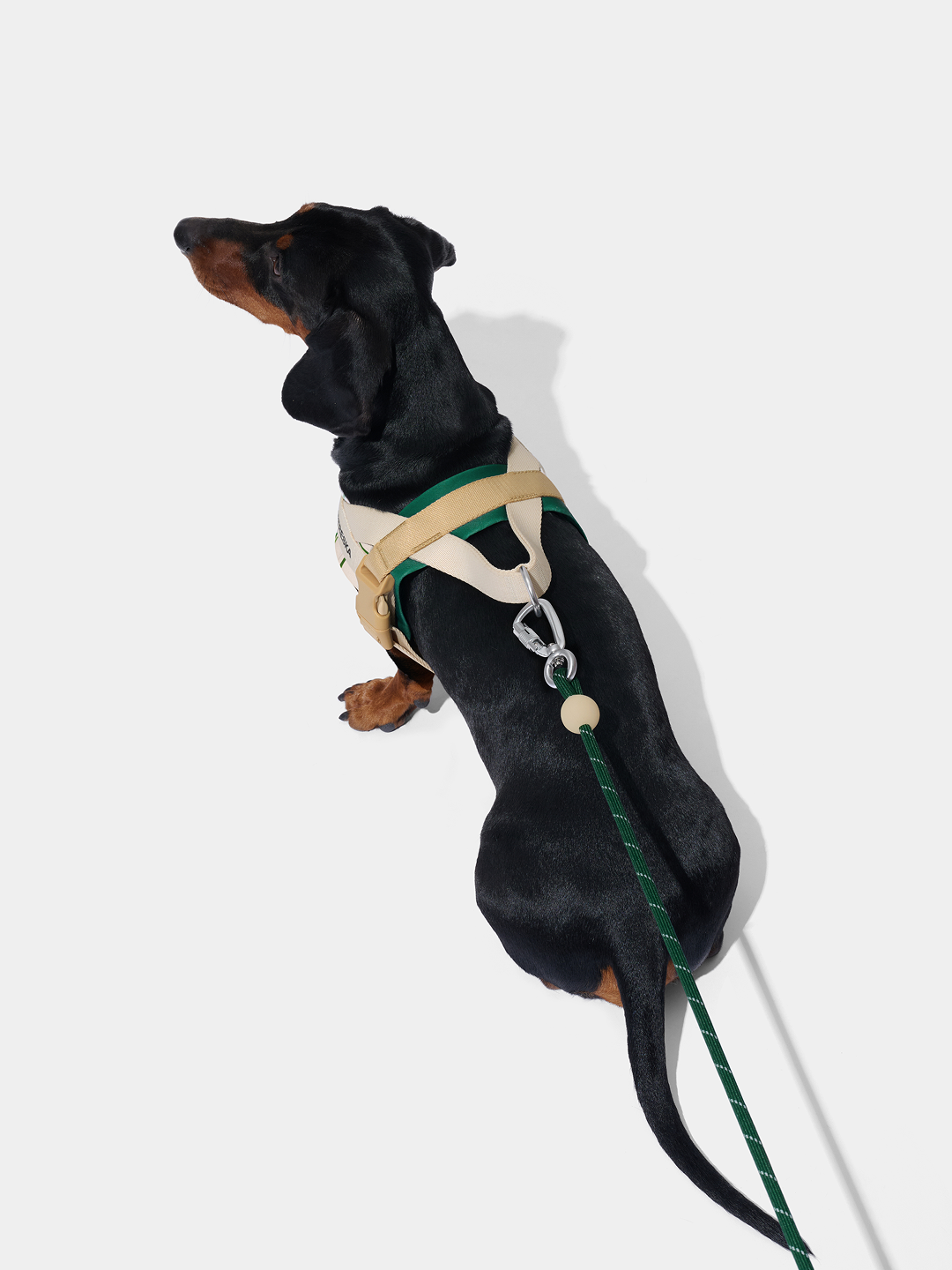 Connect Classic Rope Leash for Pets (Santal Forest) - Premium