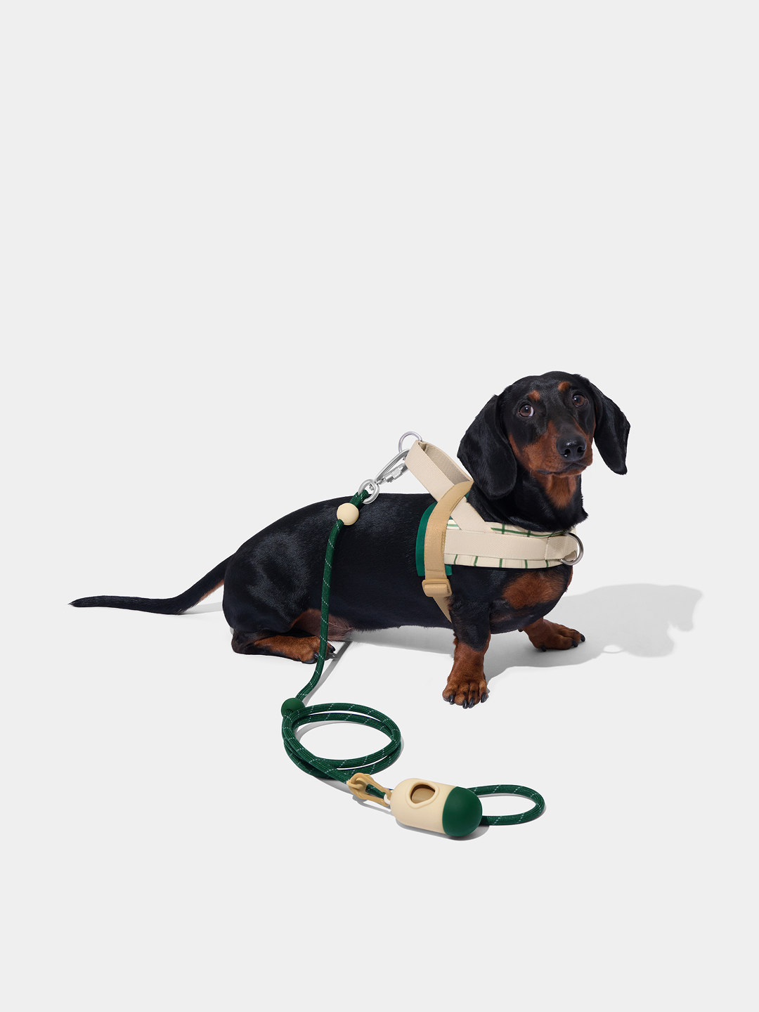 Connect Classic Rope Leash for Pets (Santal Forest) - Premium