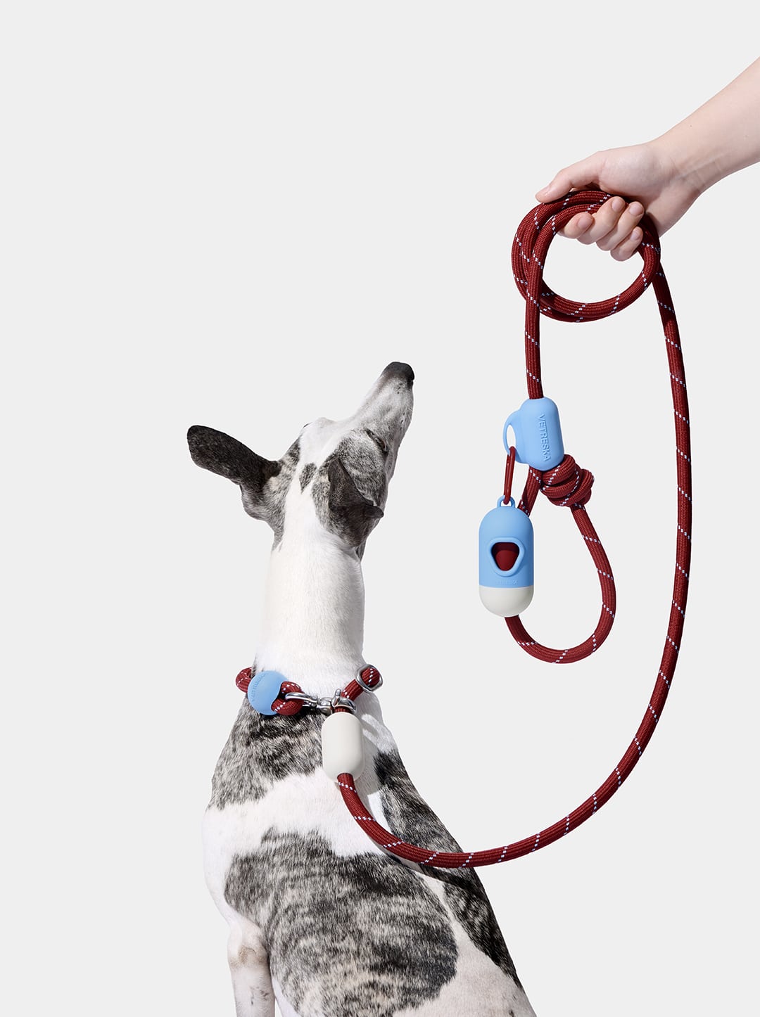Mist & Merlot Connect Hands-Free Rope Leash