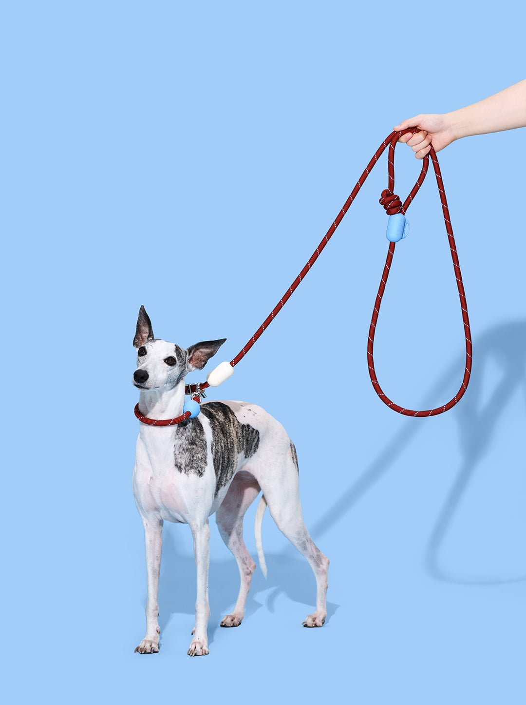 Mist & Merlot Connect Hands-Free Rope Leash