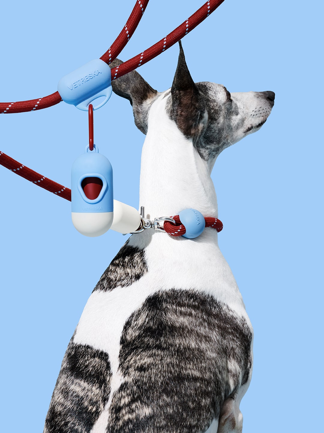 Mist & Merlot Connect Hands-Free Rope Leash