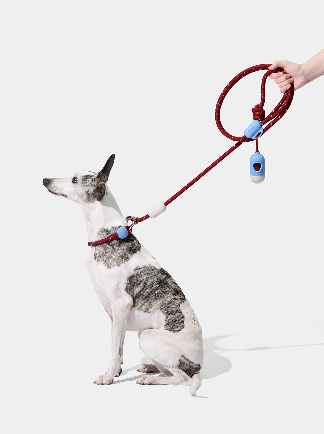 Mist & Merlot Connect Hands-Free Rope Leash