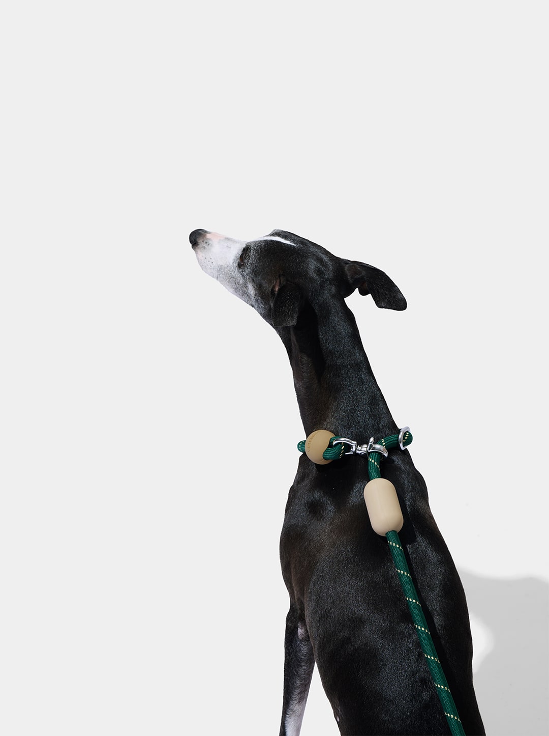 Santal Forest Connect Hands-Free Rope Leash