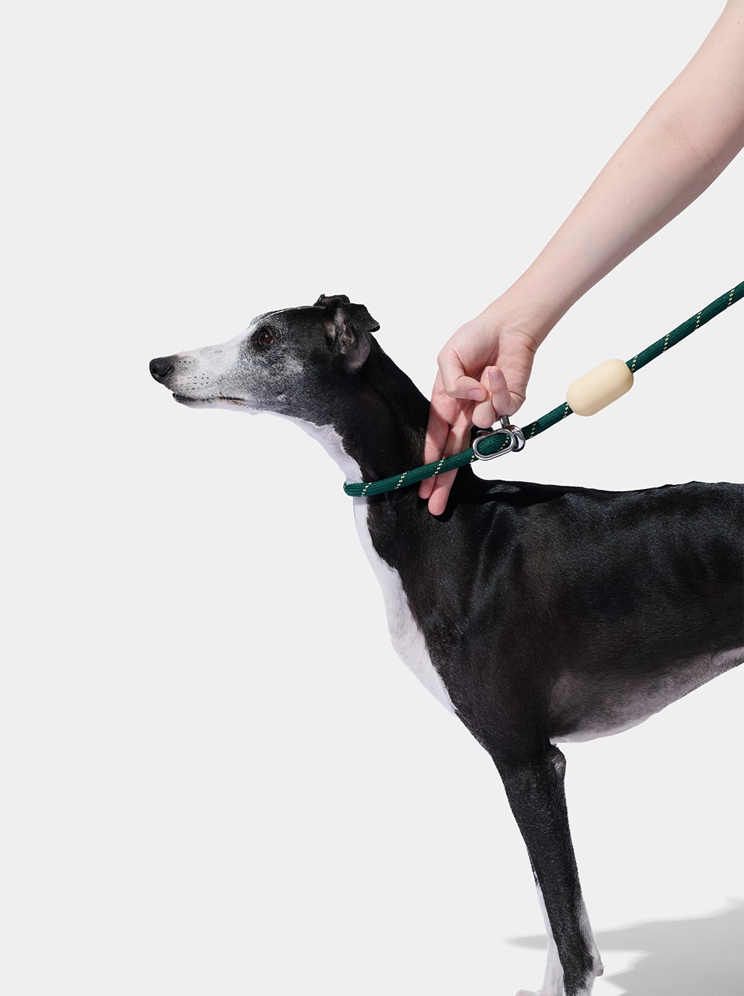 Santal Forest Connect Hands-Free Rope Leash