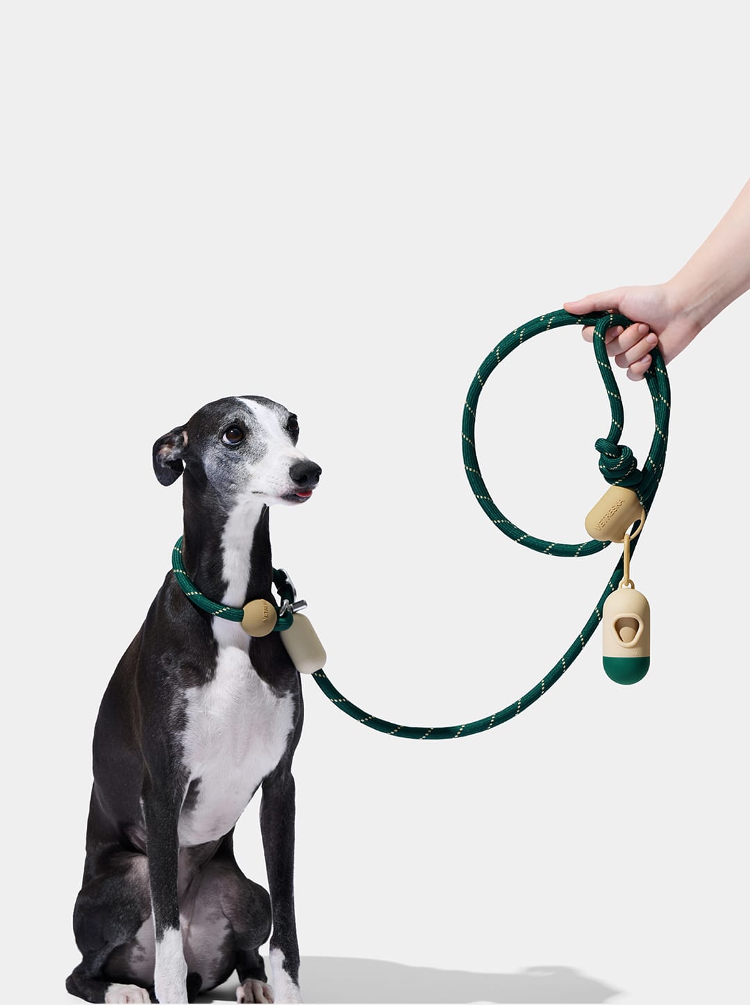 Santal Forest Connect Hands-Free Rope Leash