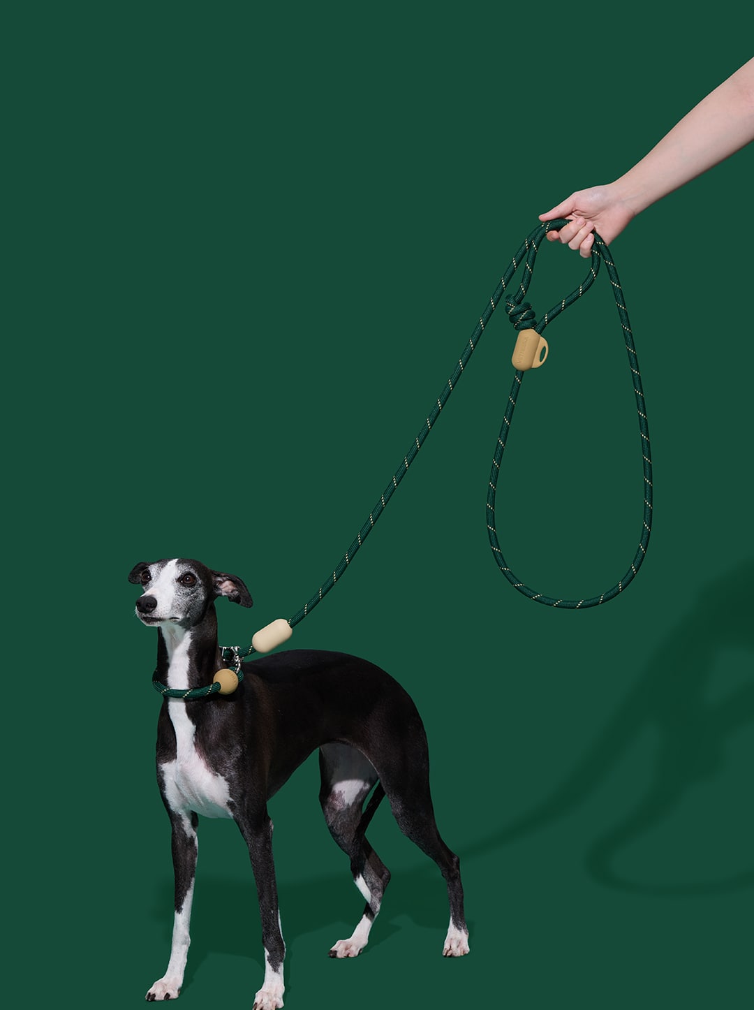Santal Forest Connect Hands-Free Rope Leash