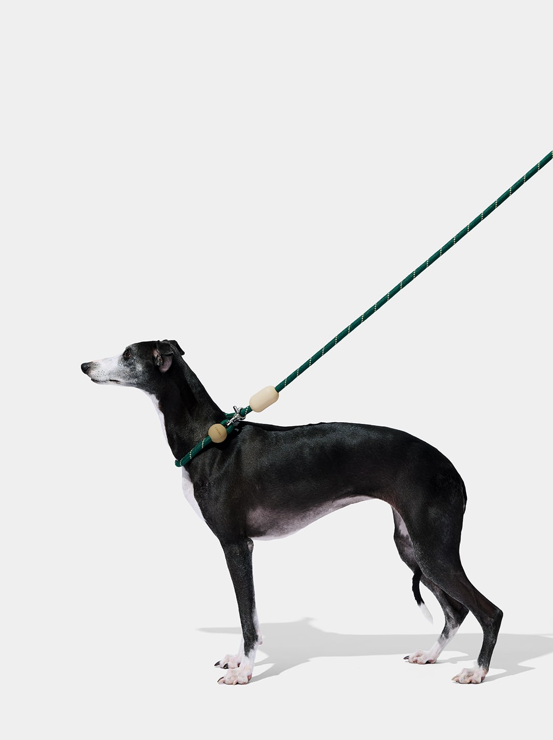 Santal Forest Connect Hands-Free Rope Leash