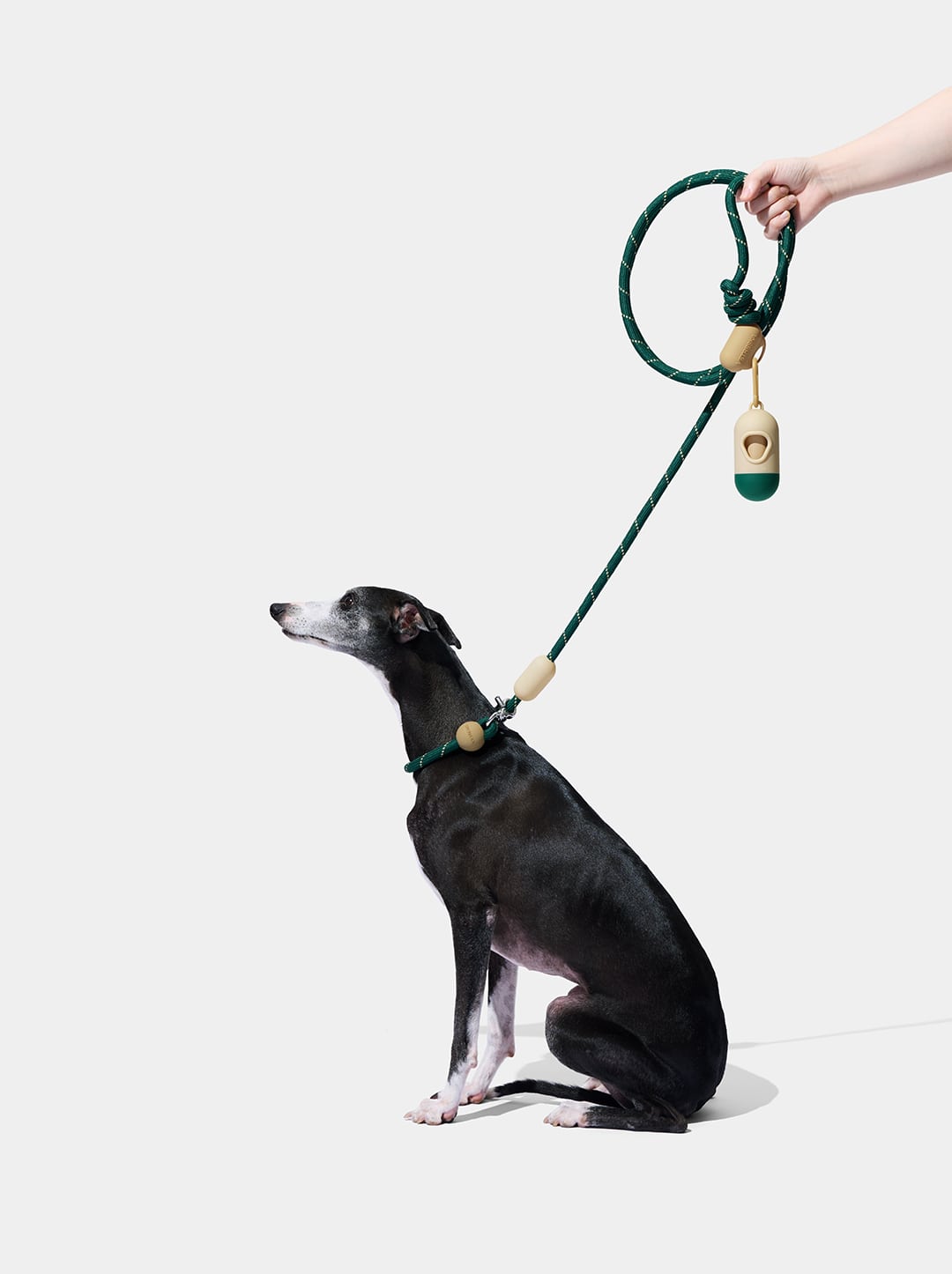 Santal Forest Connect Hands-Free Rope Leash