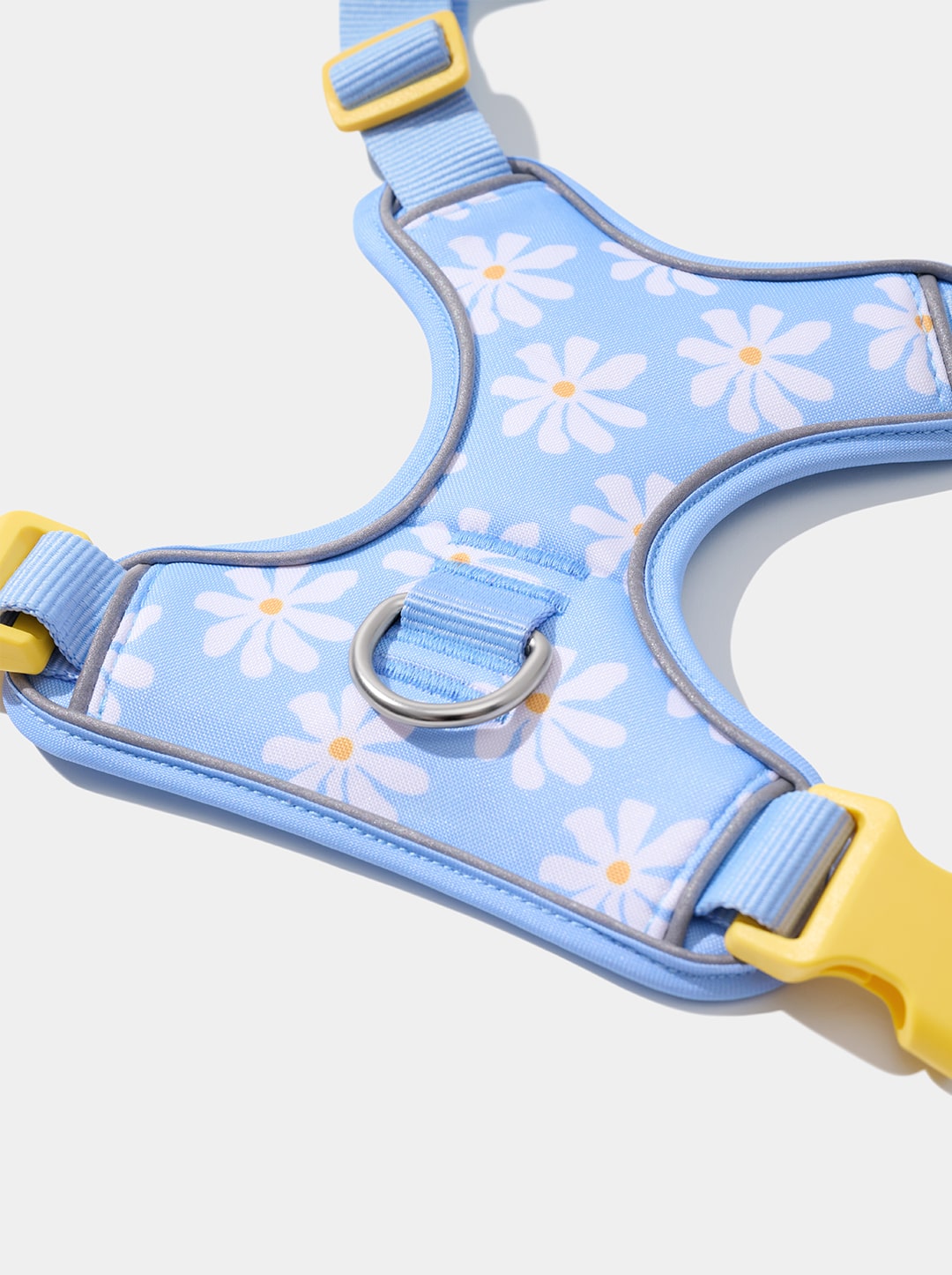Daisy Pet Harness & Leash Set