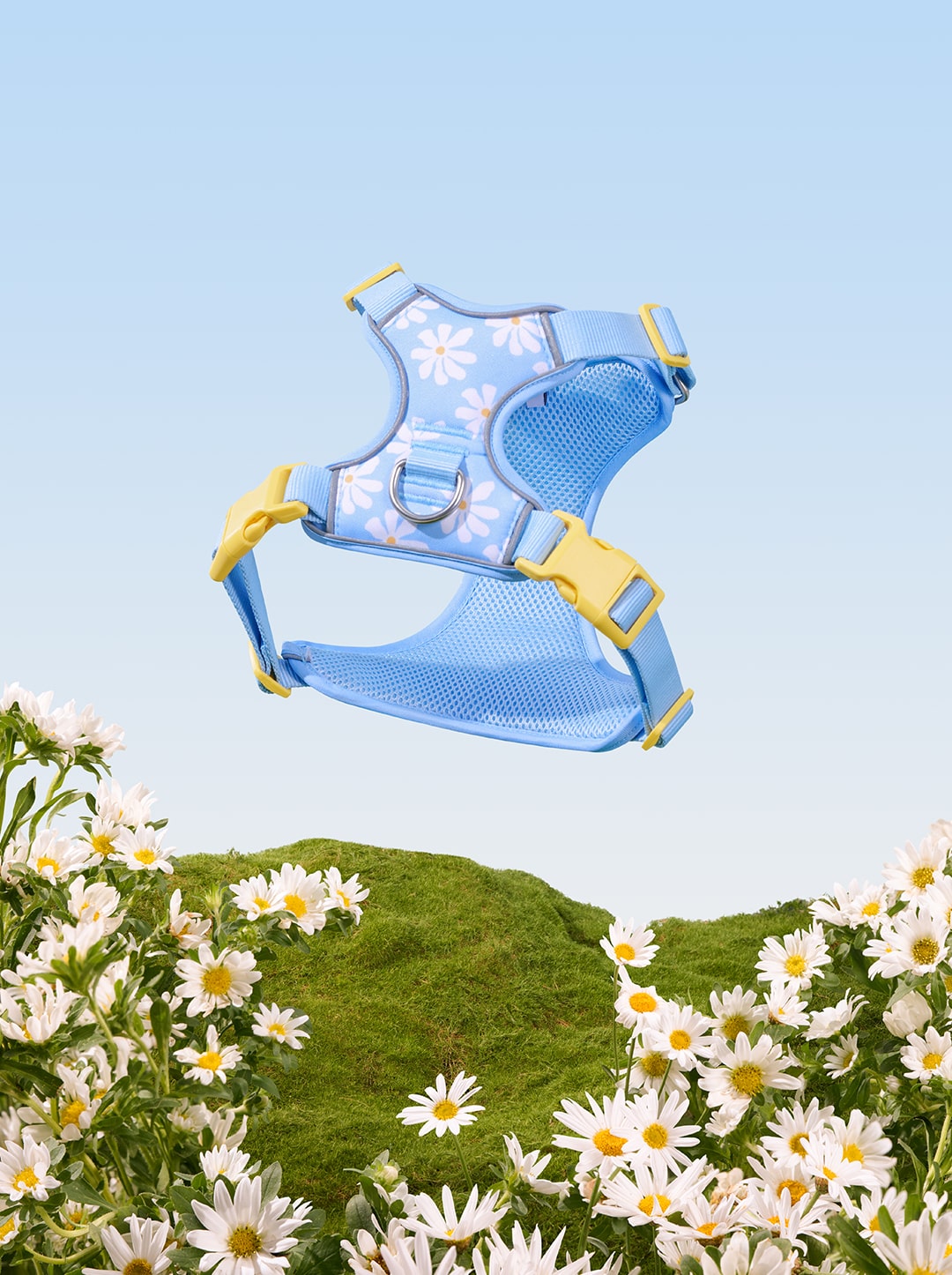 Daisy Pet Harness & Leash Set