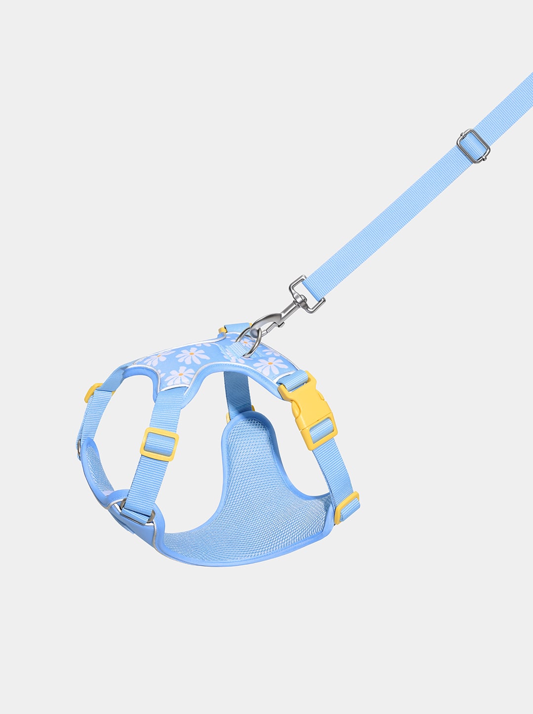 Daisy Pet Harness & Leash Set