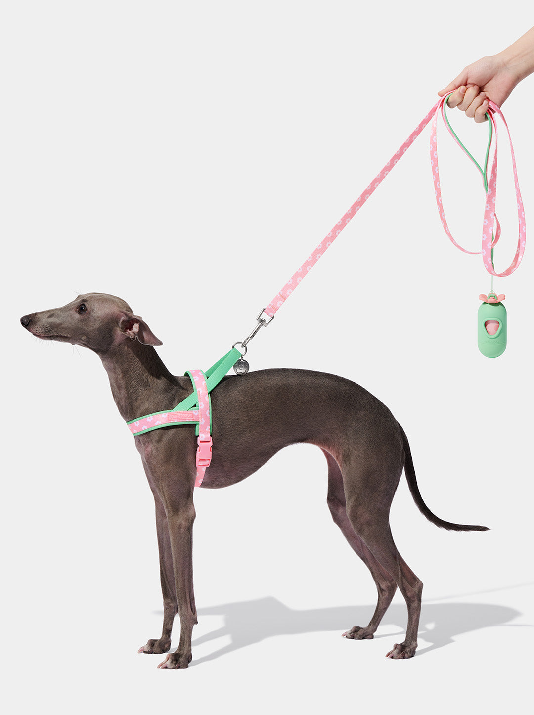 Flora Pet Harness & Leash Set