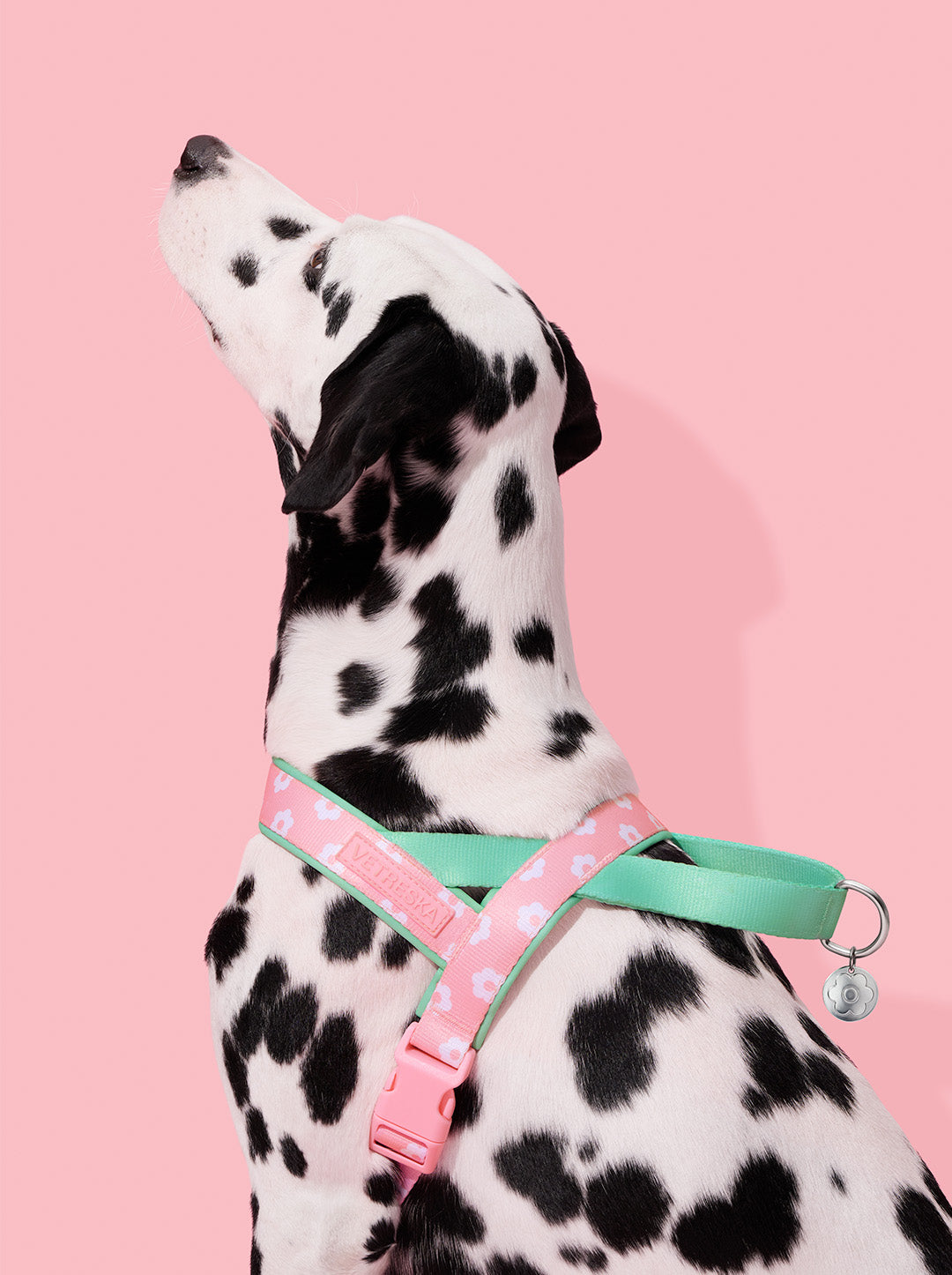 Flora Pet Harness & Leash Set