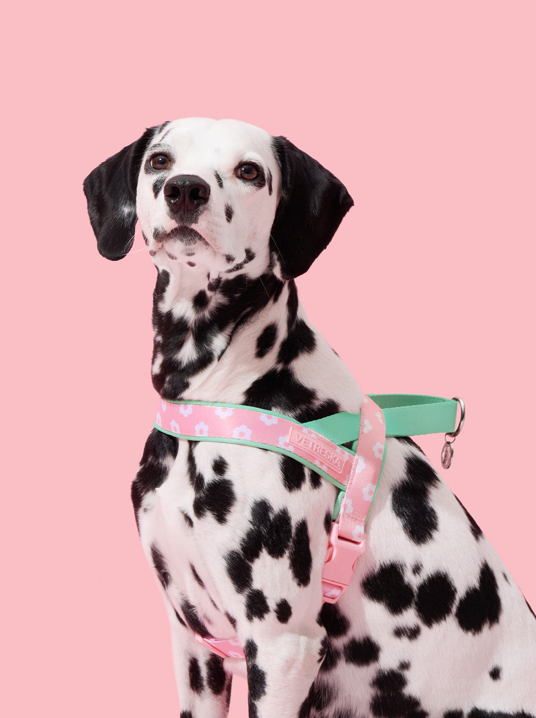 Flora Pet Harness & Leash Set