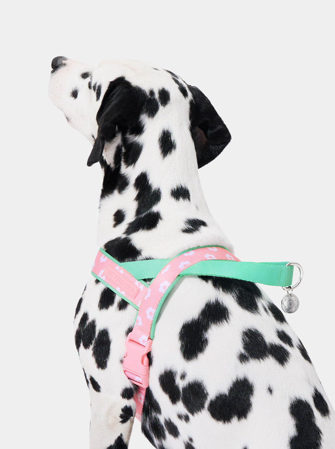 Flora Pet Harness & Leash Set