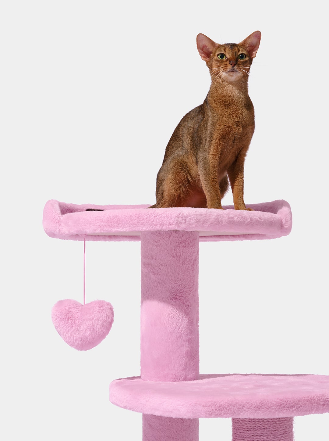 Heartpurrink Cat Climber