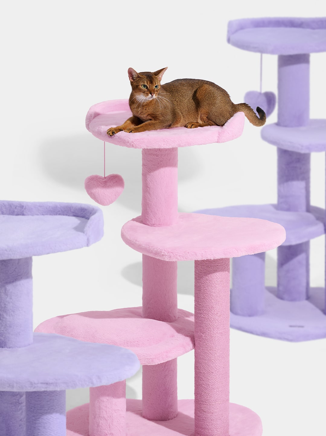 Heartpurrink Cat Climber