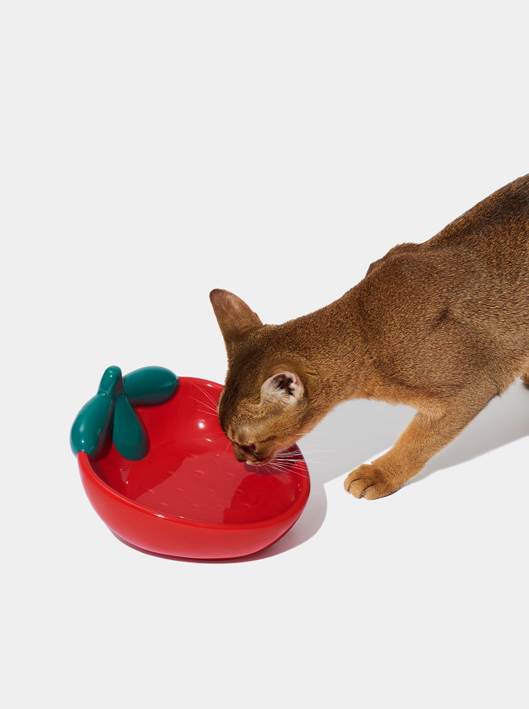 Strawberry Ceramic Pet Bowl