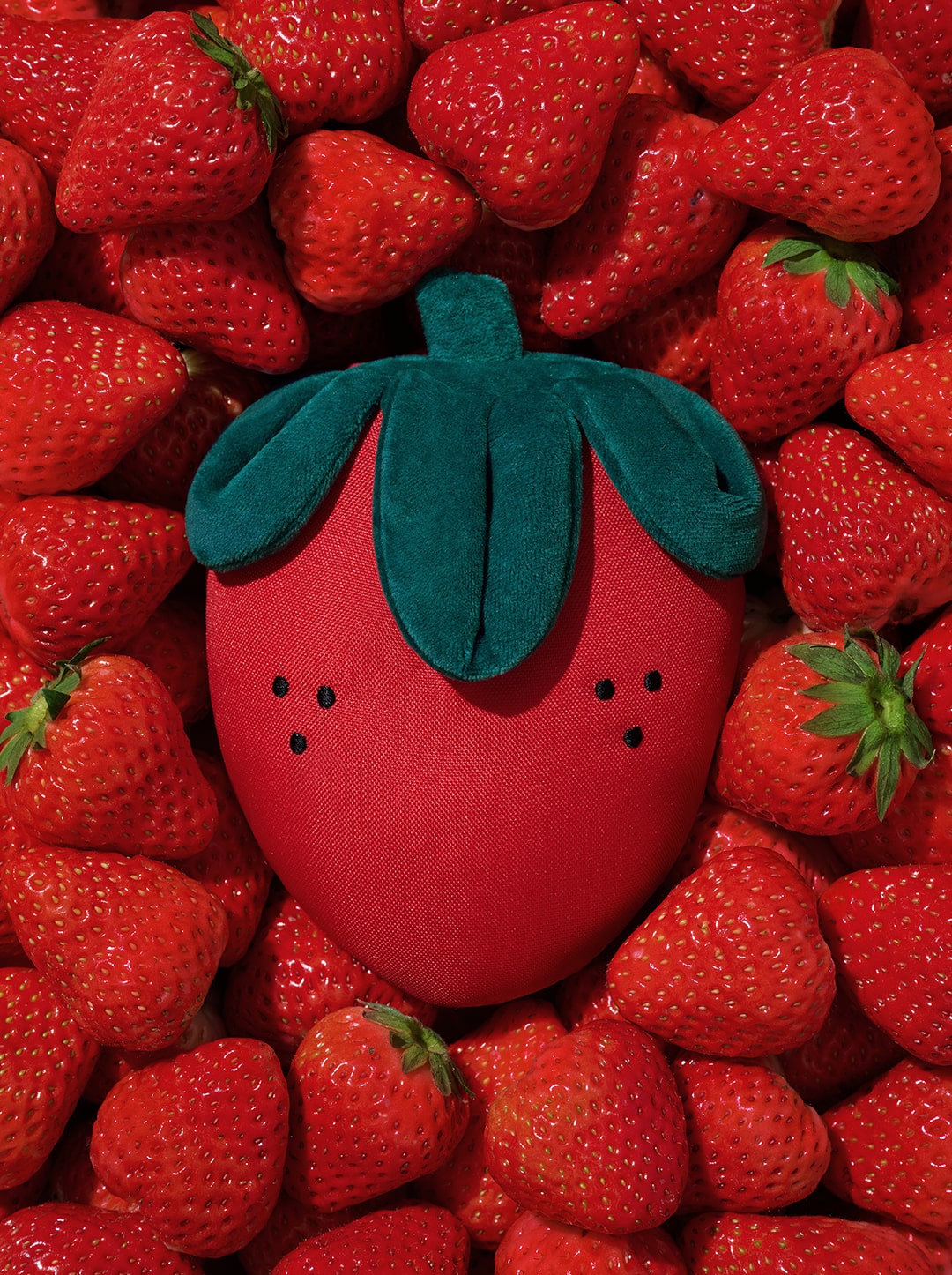 Strawberry Pet Backpack, Harness & Leash Set