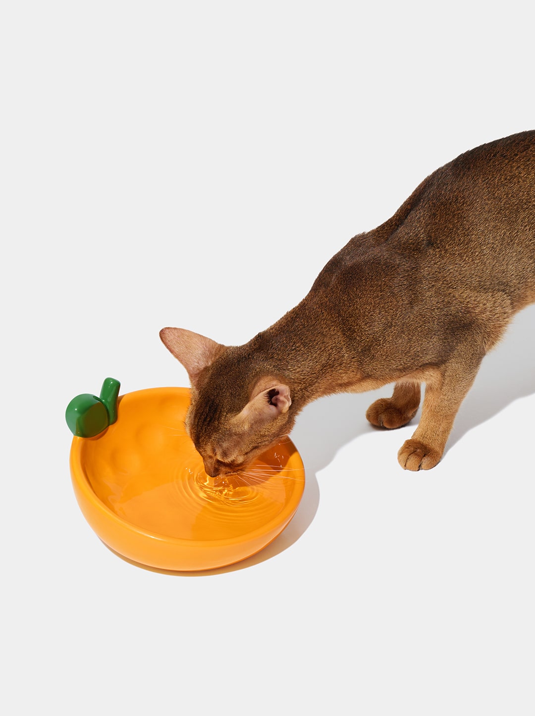 Tangerine Ceramic Pet Bowl