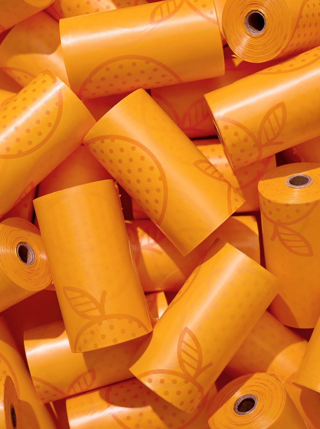 Tangerine Pet Poop Bags Refill Set (12 Rolls)