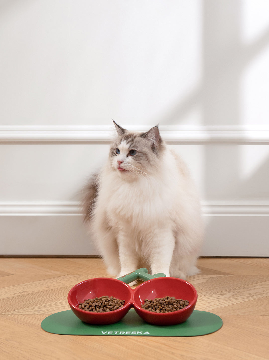 Cherry Dual Ceramic Pet Bowls & Mat Set