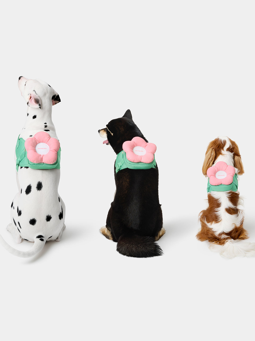 Flora Pet Harness & Backpack 3 in 1 Set
