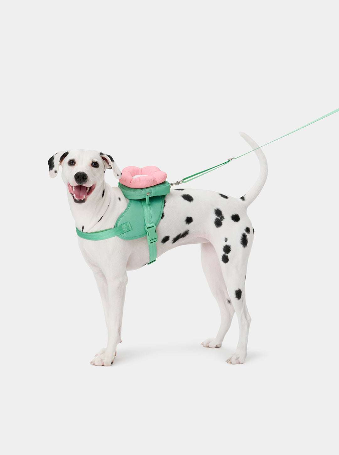 Flora Pet Harness & Backpack 3 in 1 Set