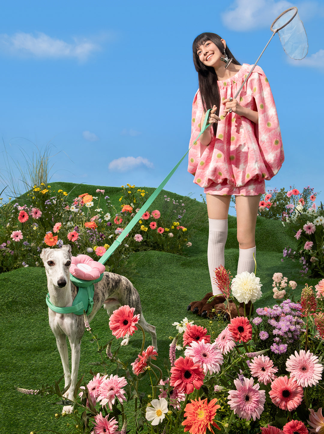 Flora Pet Harness & Backpack 3 in 1 Set