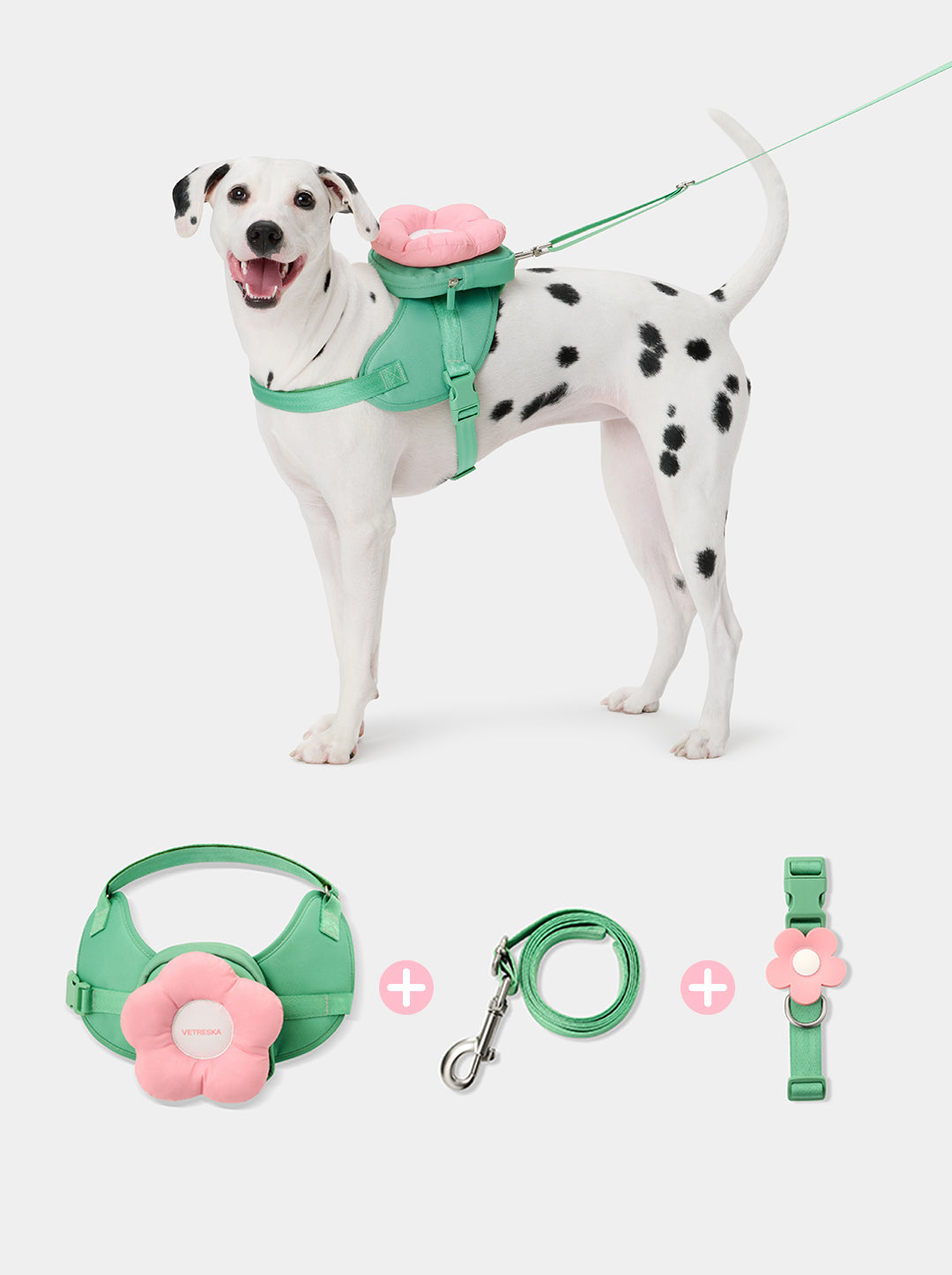 Flora Pet Harness & Backpack 3 in 1 Set