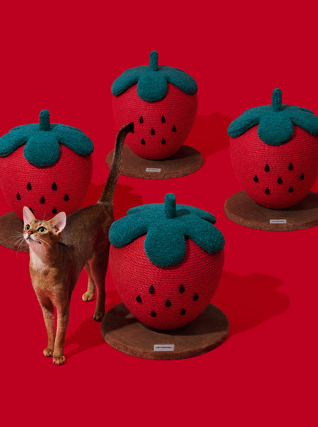 Strawberry Cat Scratching Ball