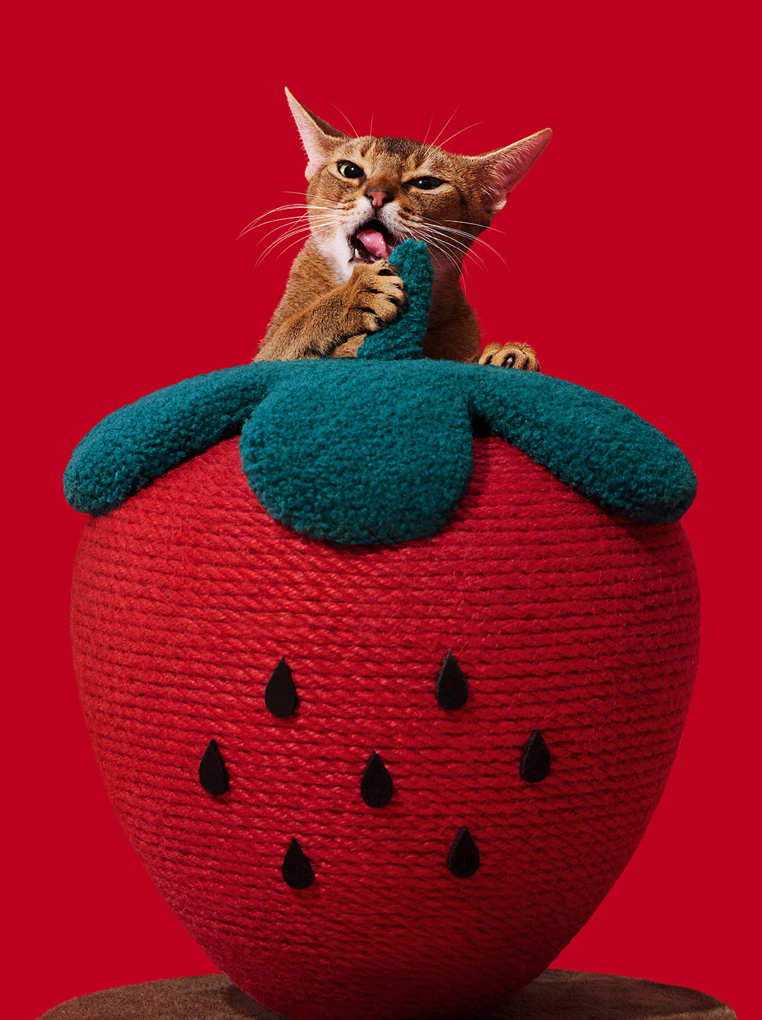 Strawberry Cat Scratching Ball