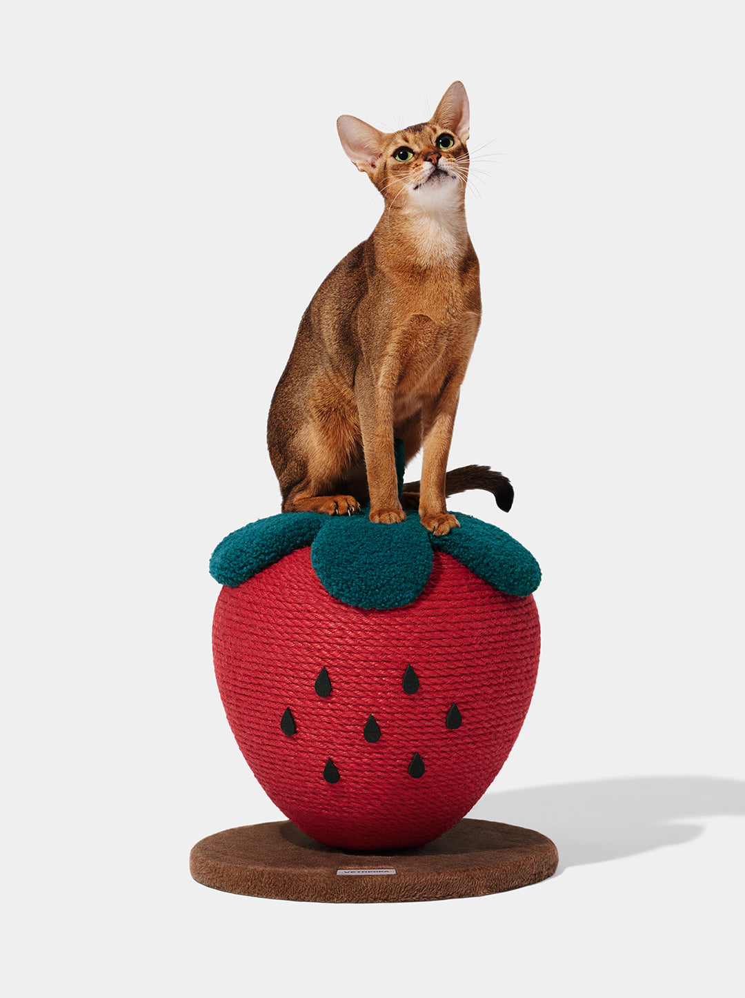 Strawberry Cat Scratching Ball