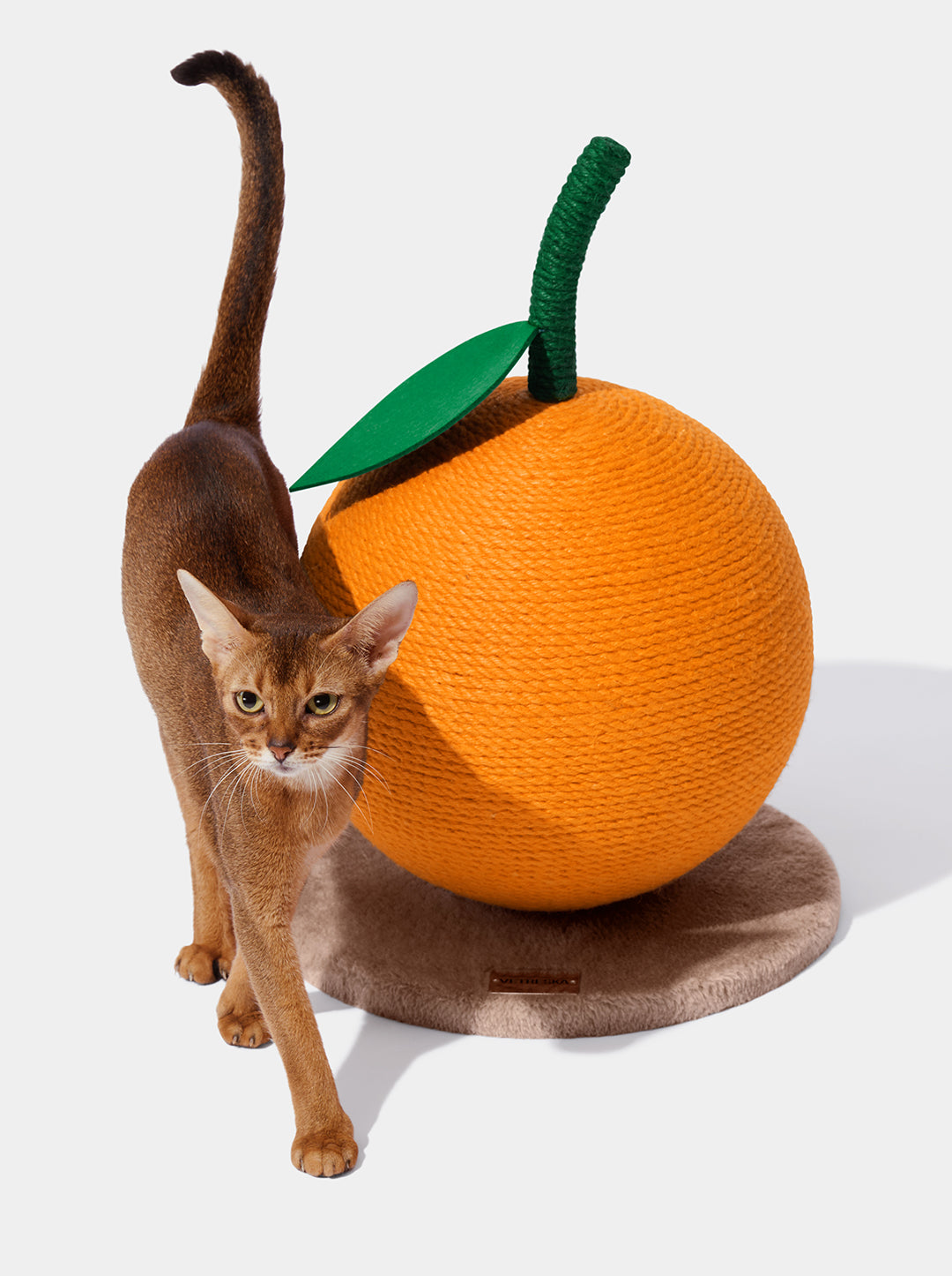 Tangerine Cat Scratching Ball