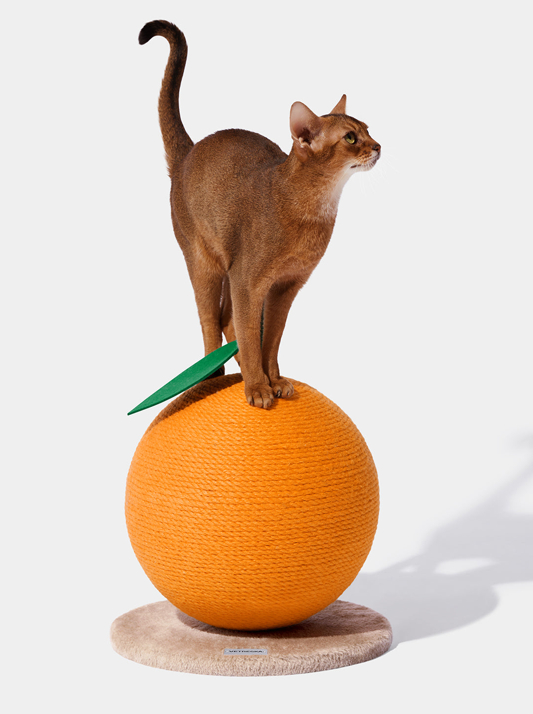 Tangerine Cat Scratching Ball