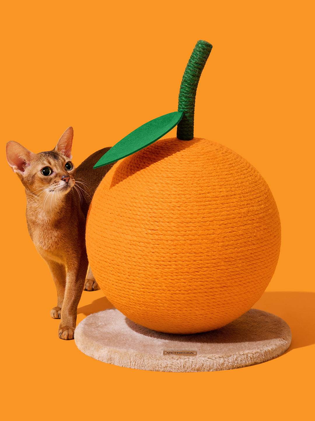 Tangerine Cat Scratching Ball