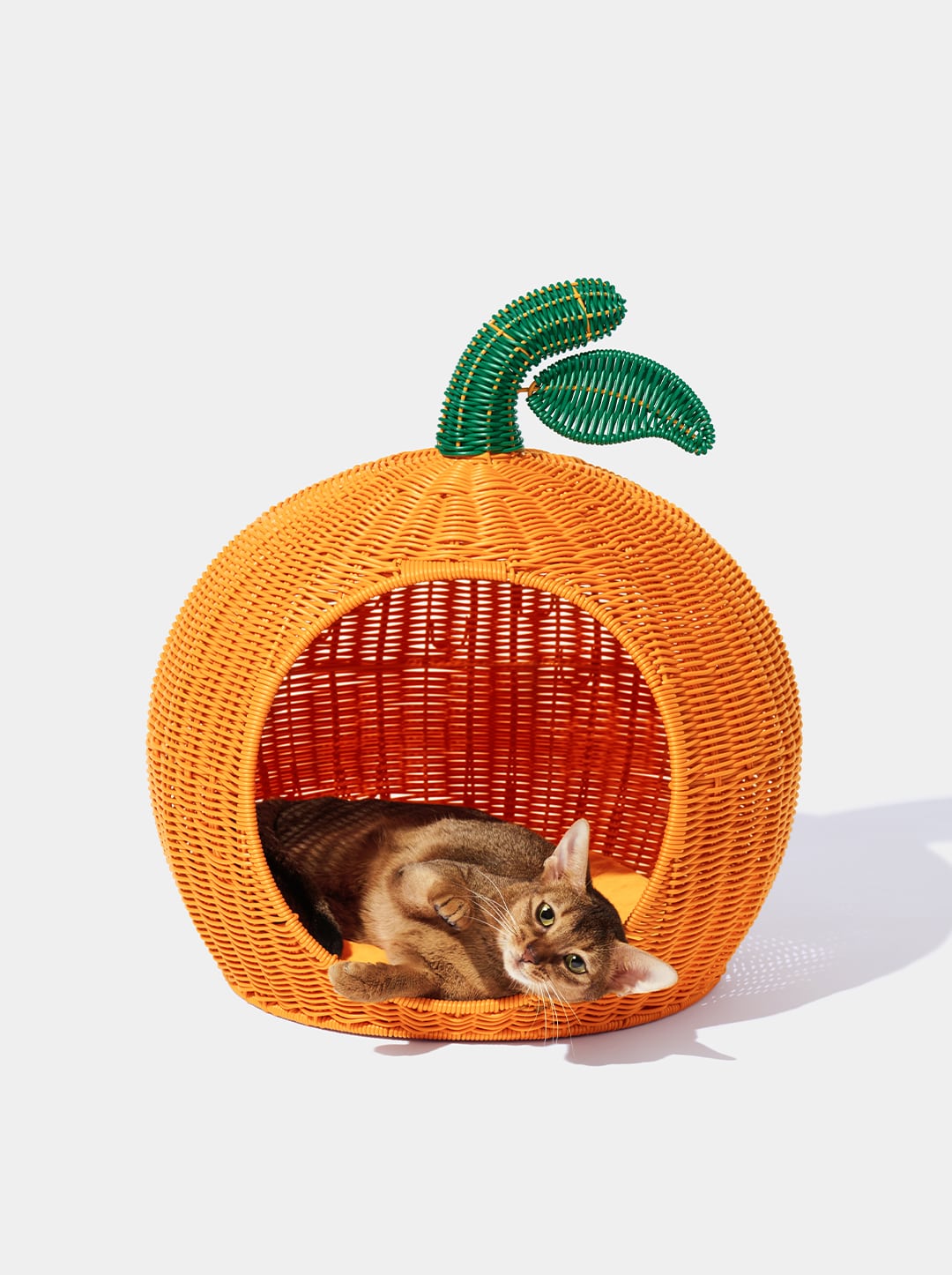 Tangerine Rattan Pet Bed