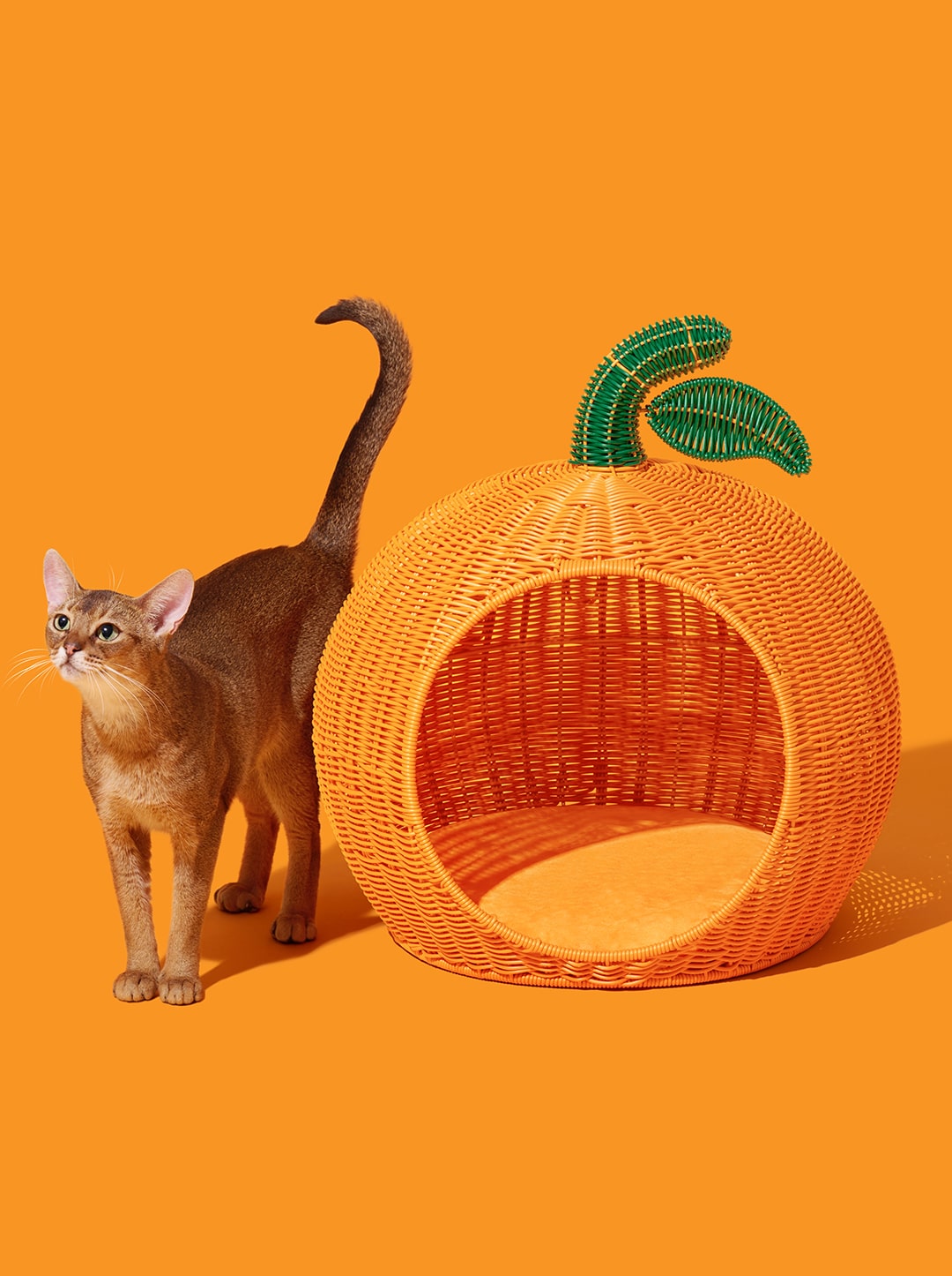 Tangerine Rattan Pet Bed