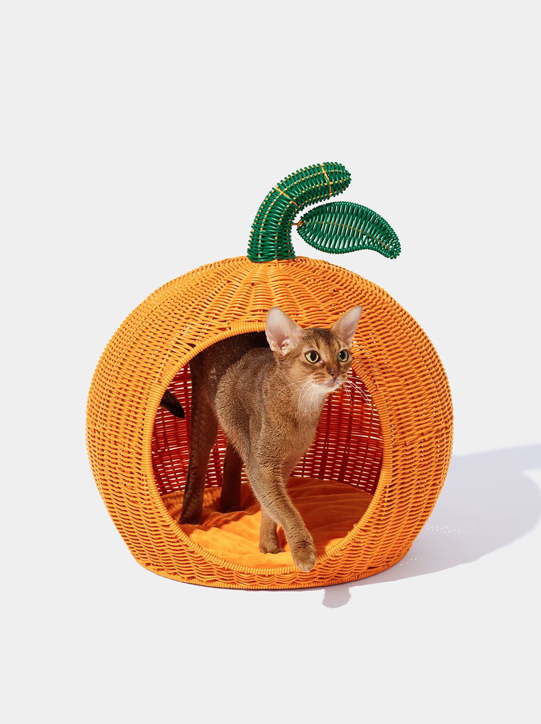 Tangerine Rattan Pet Bed