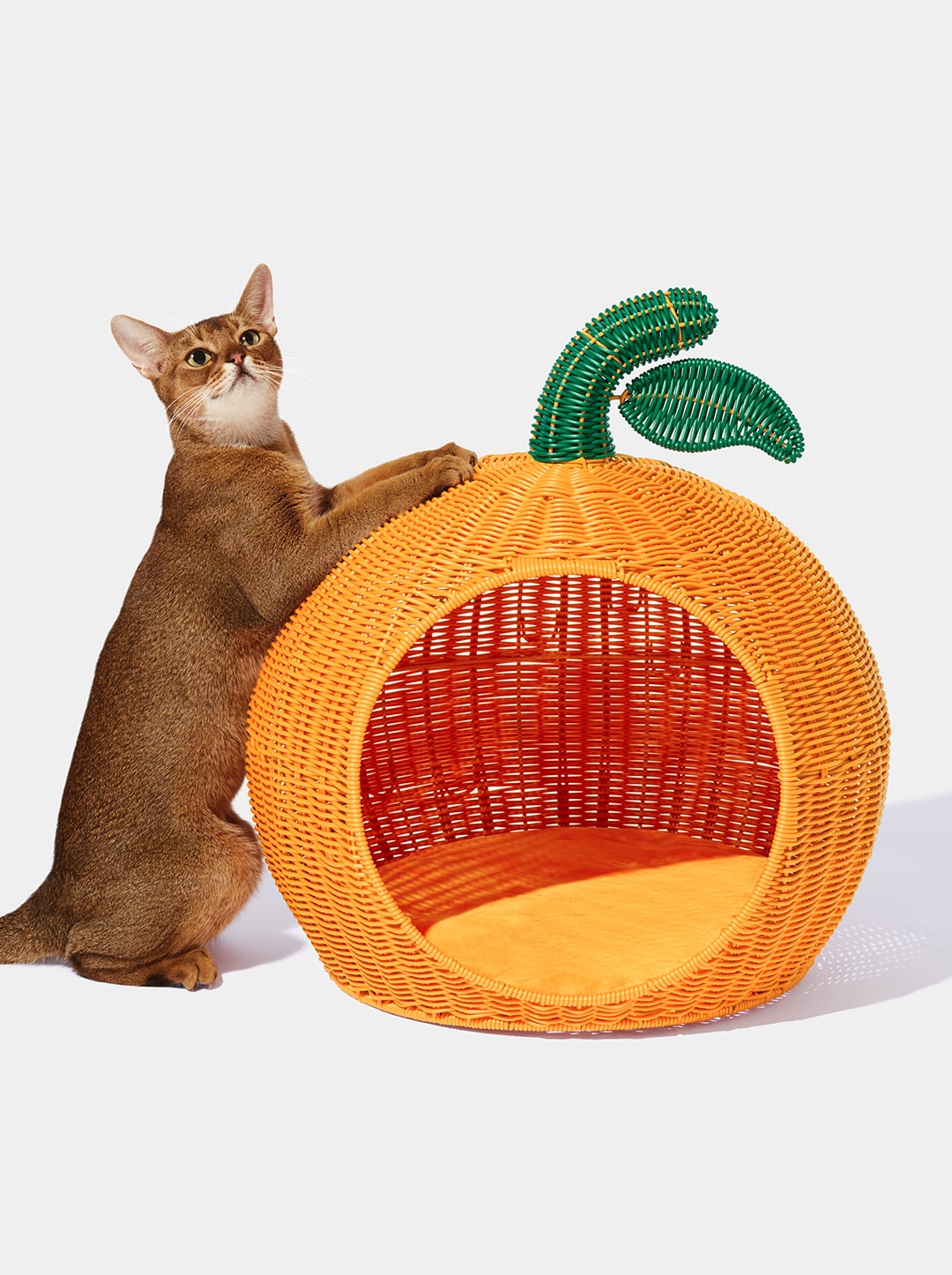 Tangerine Rattan Pet Bed