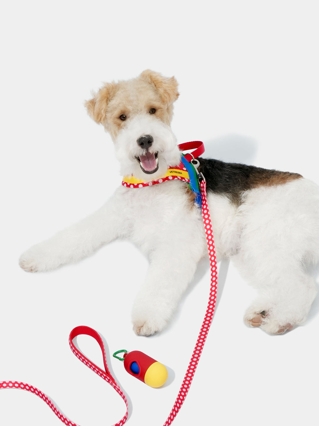 Y Chroma Pet Harness & Leash Set-Red