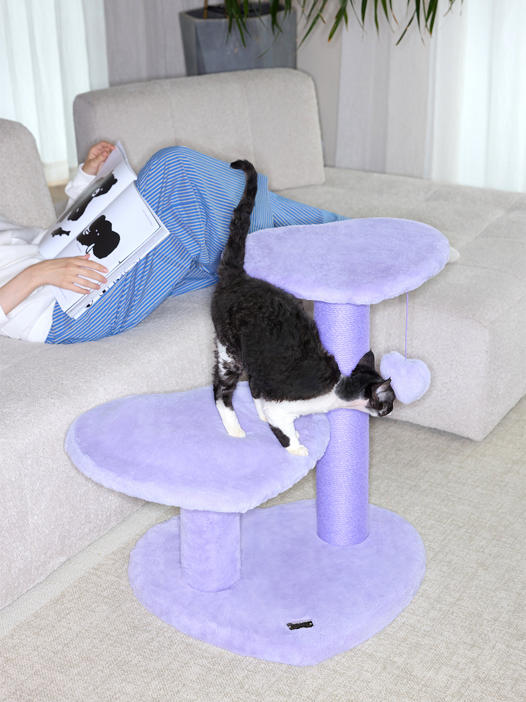 Y Heartpurrple Cat Climber - 3 Platforms