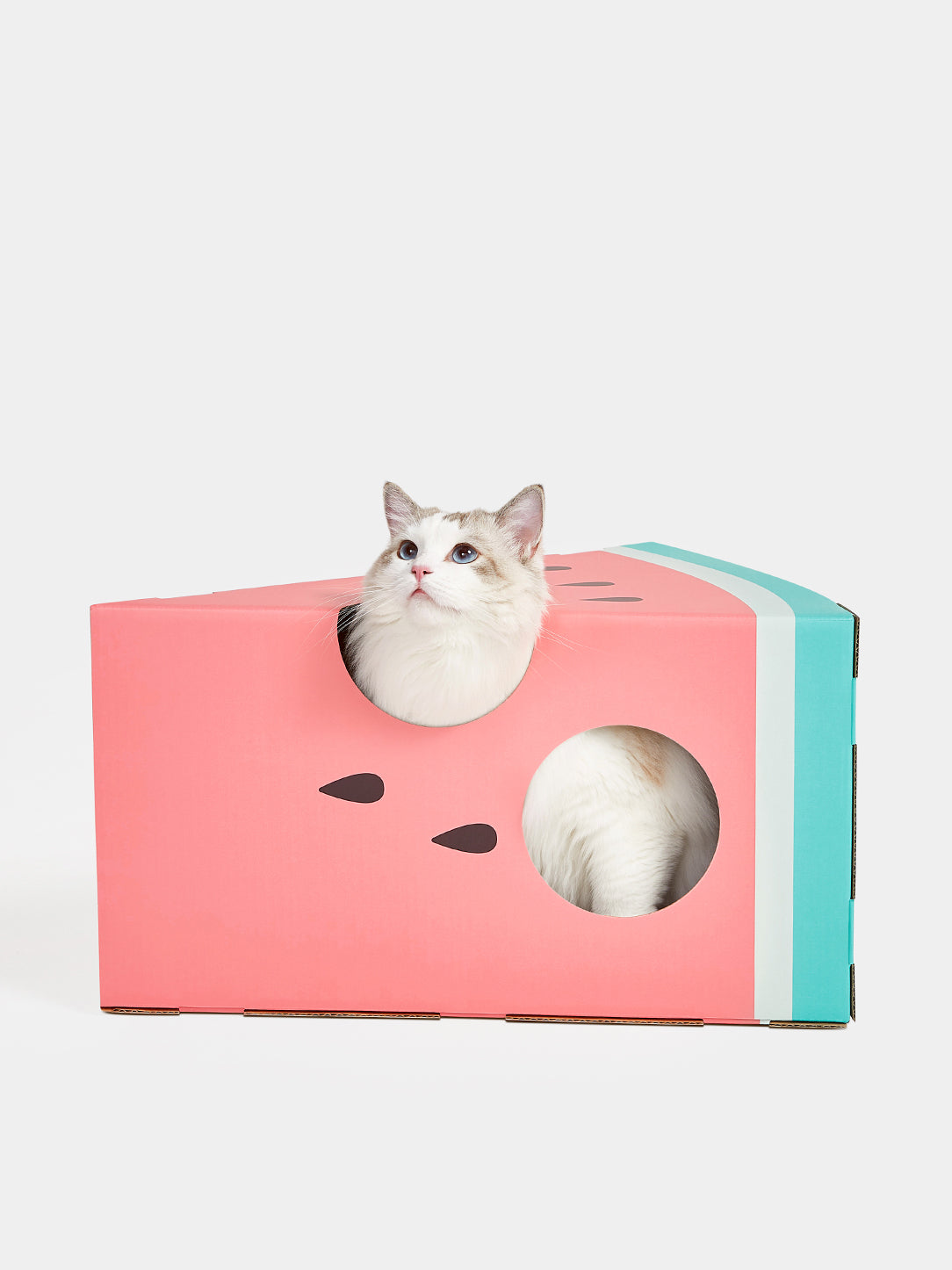 Watermelon Scratching Box