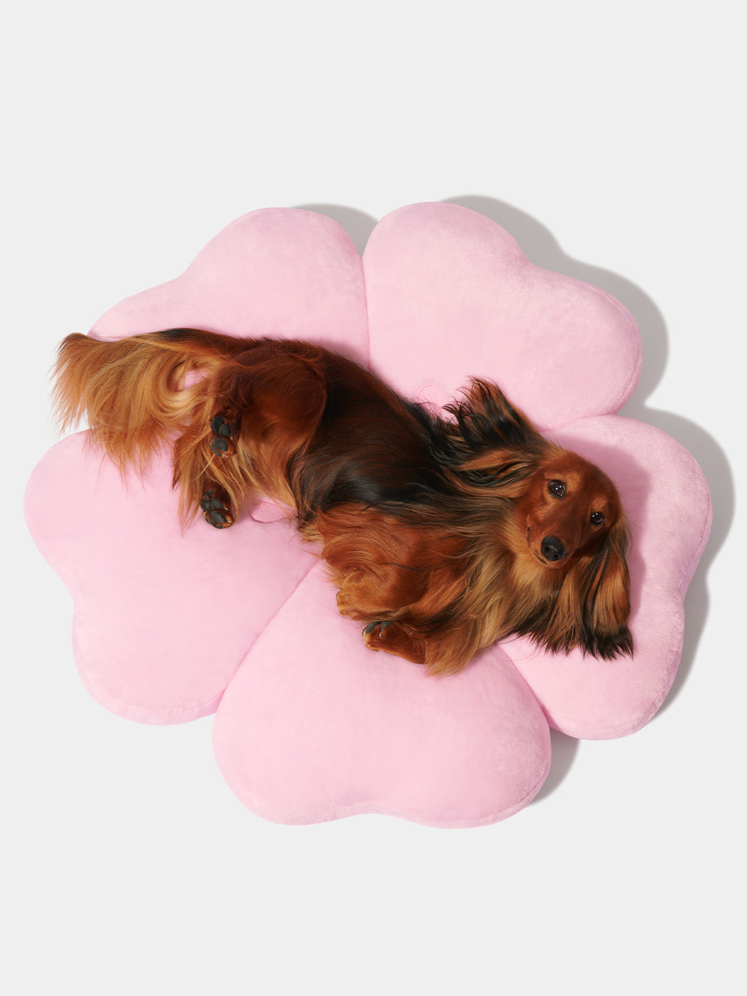 Cherry Blossom Pet Bed