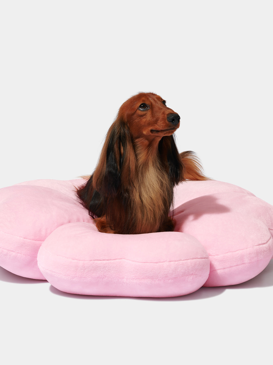 Cherry Blossom Pet Bed