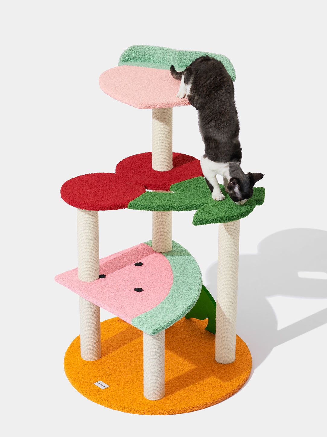 Fruit Frenzy Cat Climber