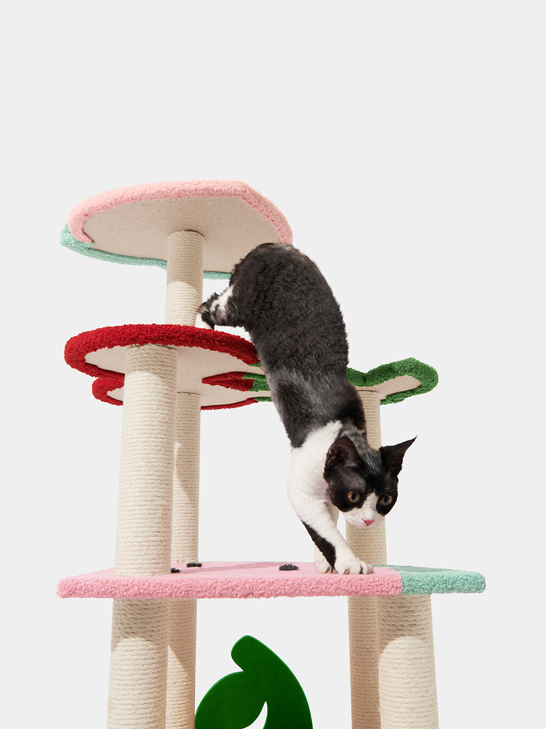 Fruit Frenzy Cat Climber