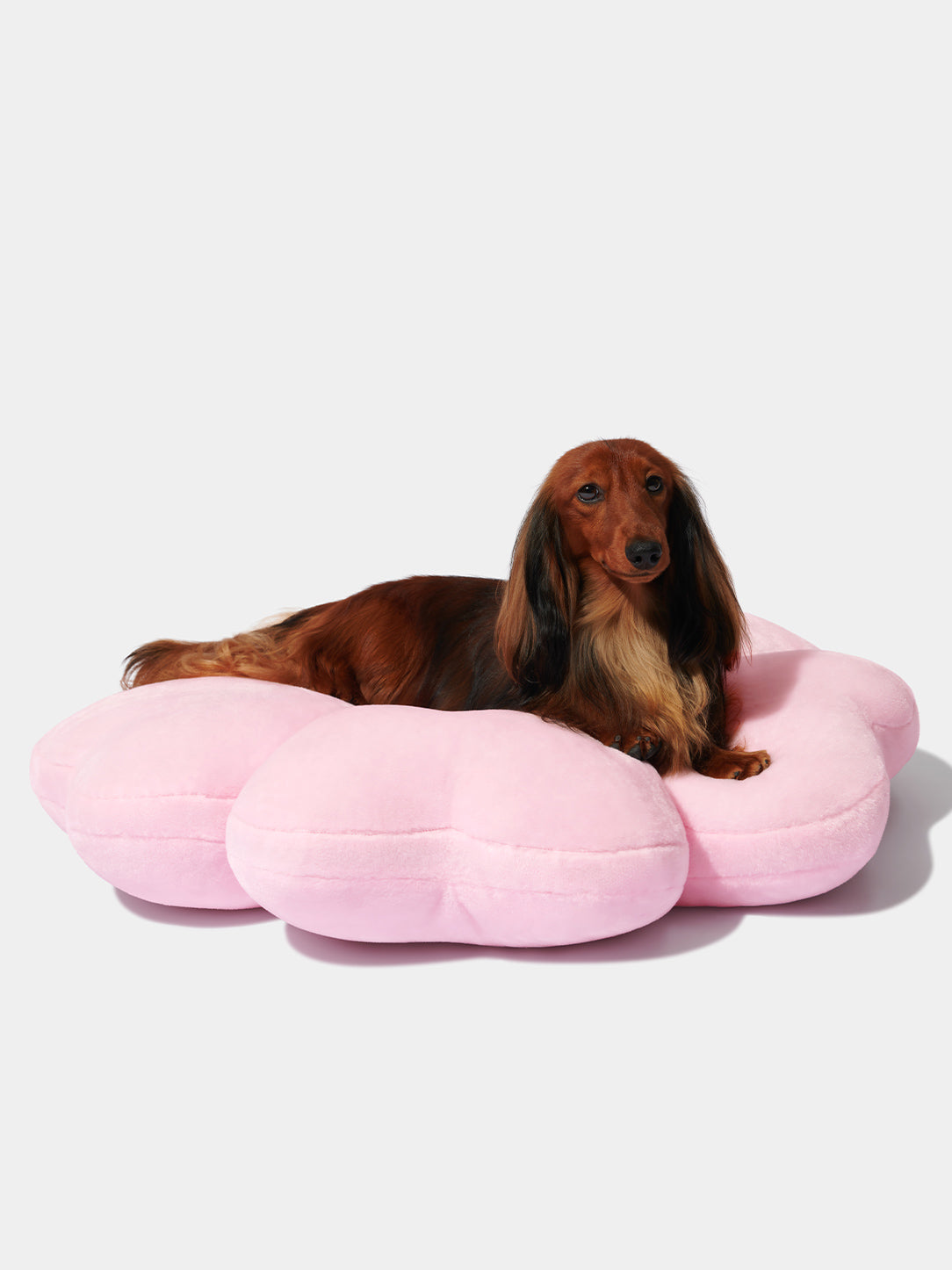 Cherry Blossom Pet Bed