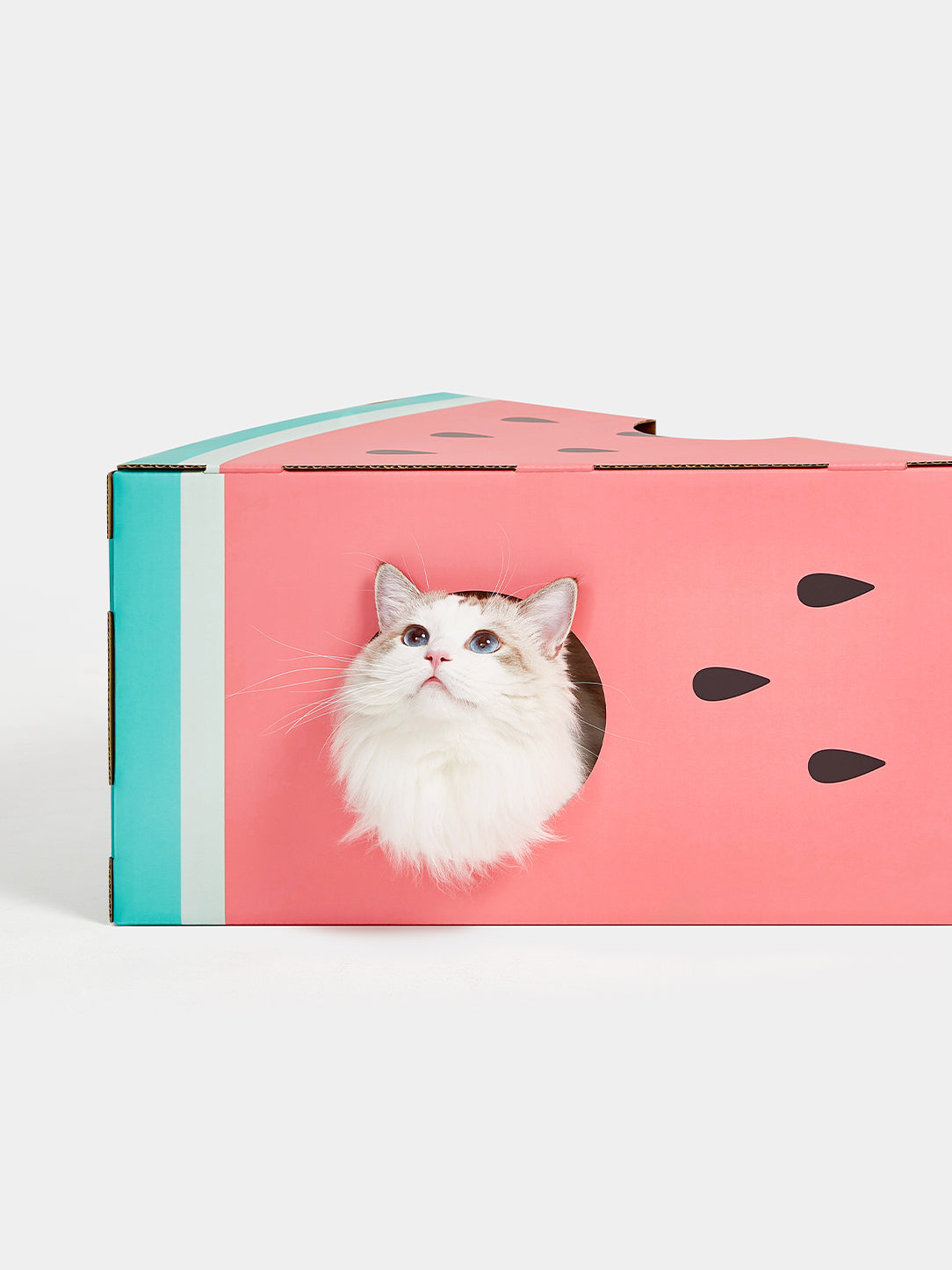 Watermelon Scratching Box