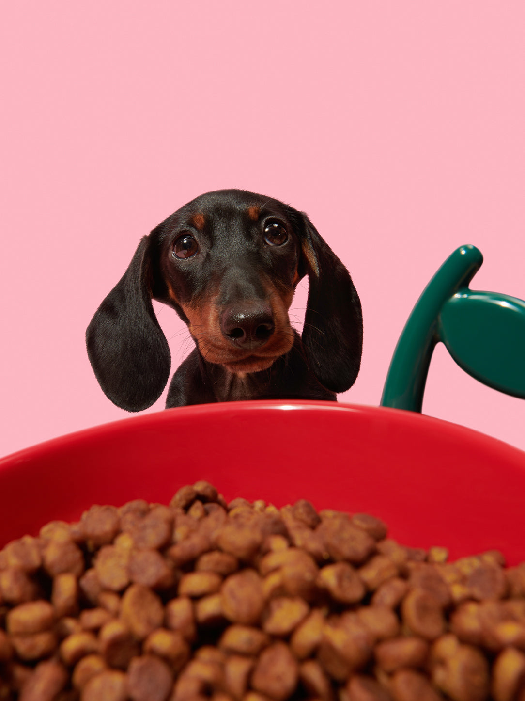 Juicy Cherry Pet Bowl, Spoon & Mat Set